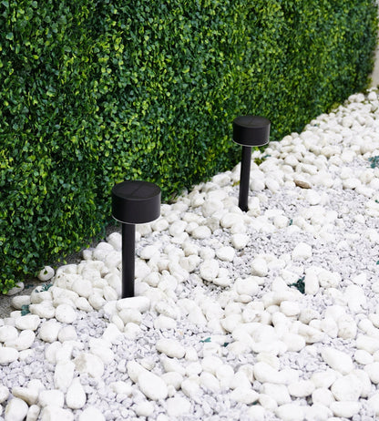 Solar LED Beacons (2-Pack) – Plantable Outdoor Lights with 100 Lumens