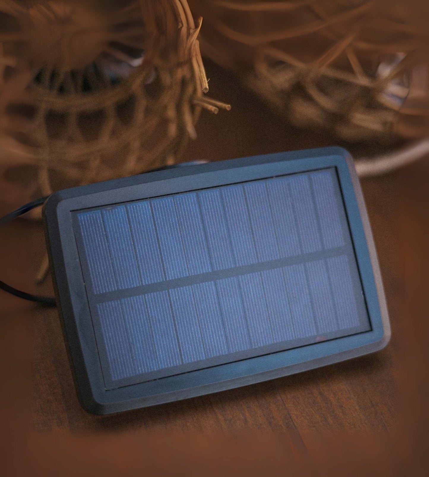 Solar String Lights – Nature Design with 10 Outdoor Decorative Lamps