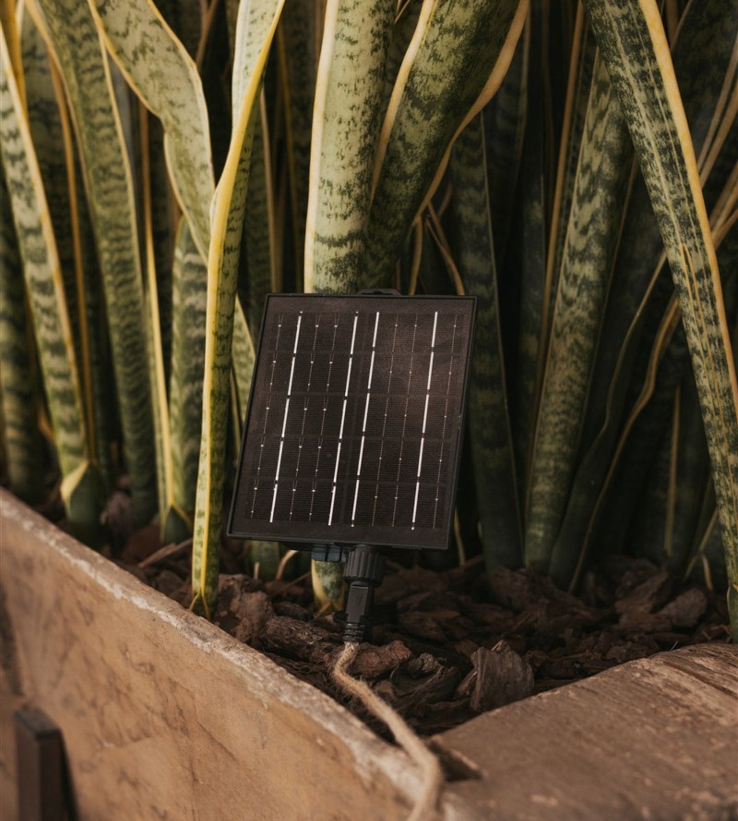 Solar String Lights – Nature Design 10-Lamp Outdoor Decorative Lighting