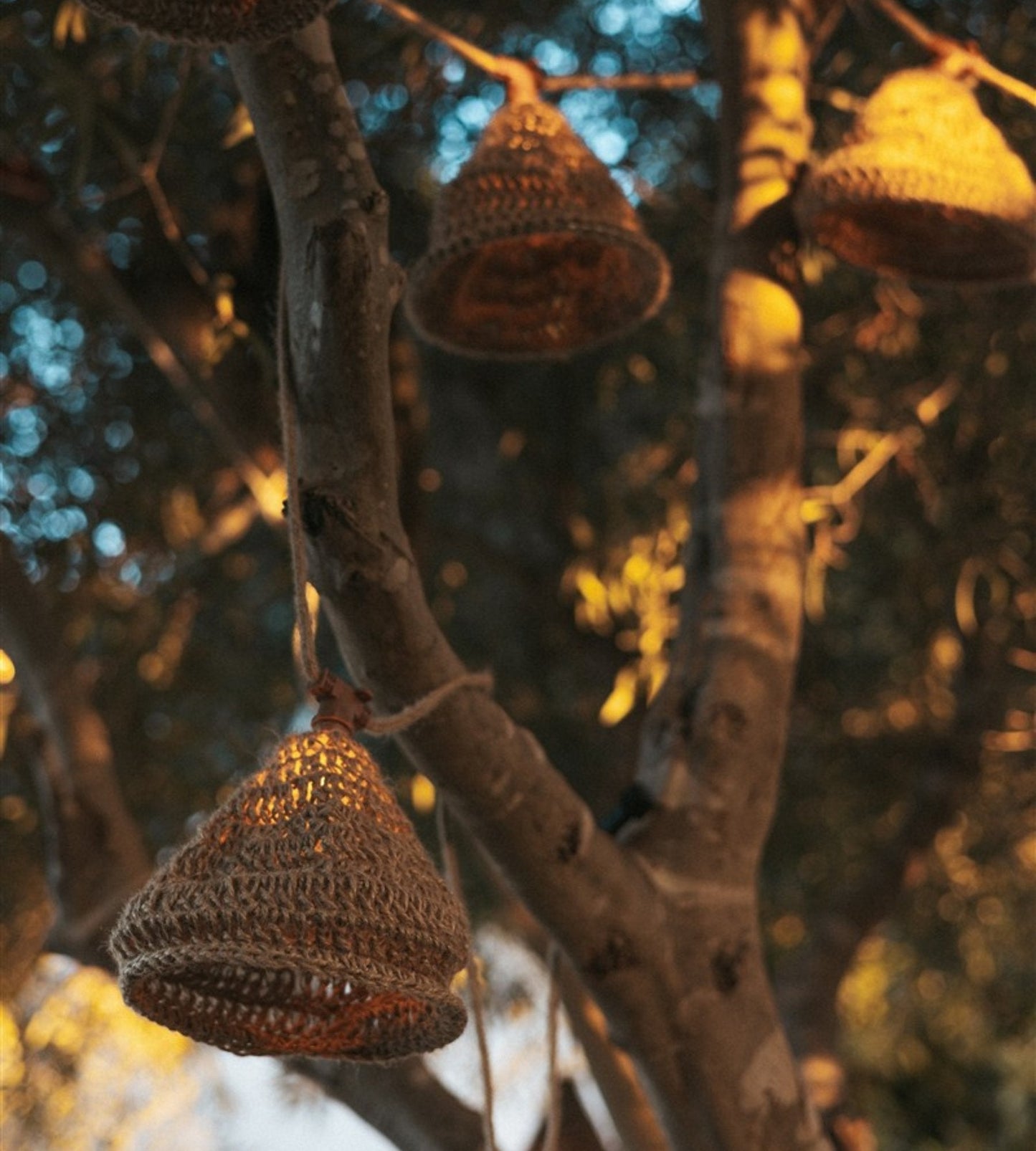 Solar String Lights – Nature Design 10-Lamp Outdoor Decorative Lighting