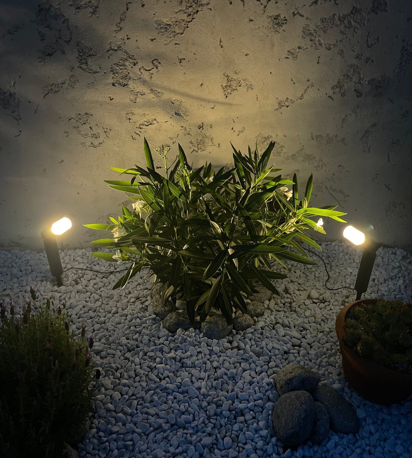 Solar Spotlights (2-Pack) – Outdoor LED, High-Brightness Design