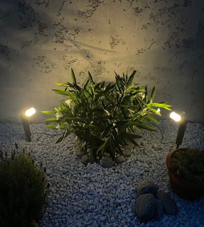 Solar Spotlights (2-Pack) – Outdoor LED, High-Brightness Design