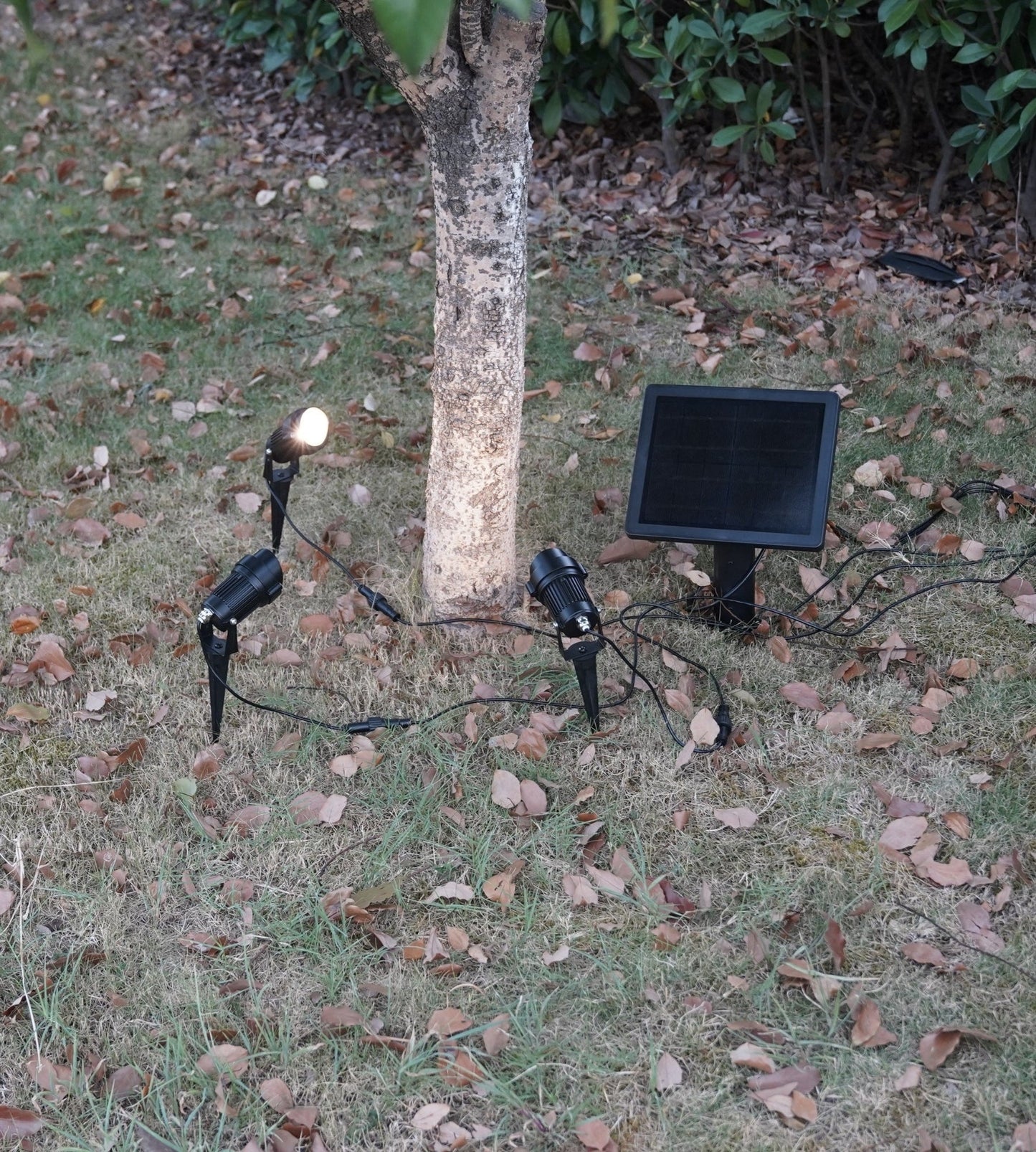 Solar Spotlights (3-Pack) – Bright Outdoor LED Landscape Lighting