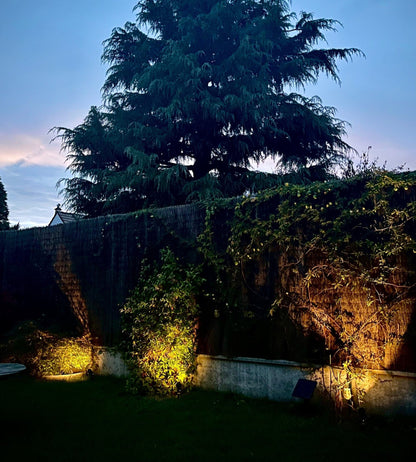 Solar Spotlights (3-Pack) – Bright Outdoor LED Landscape Lighting