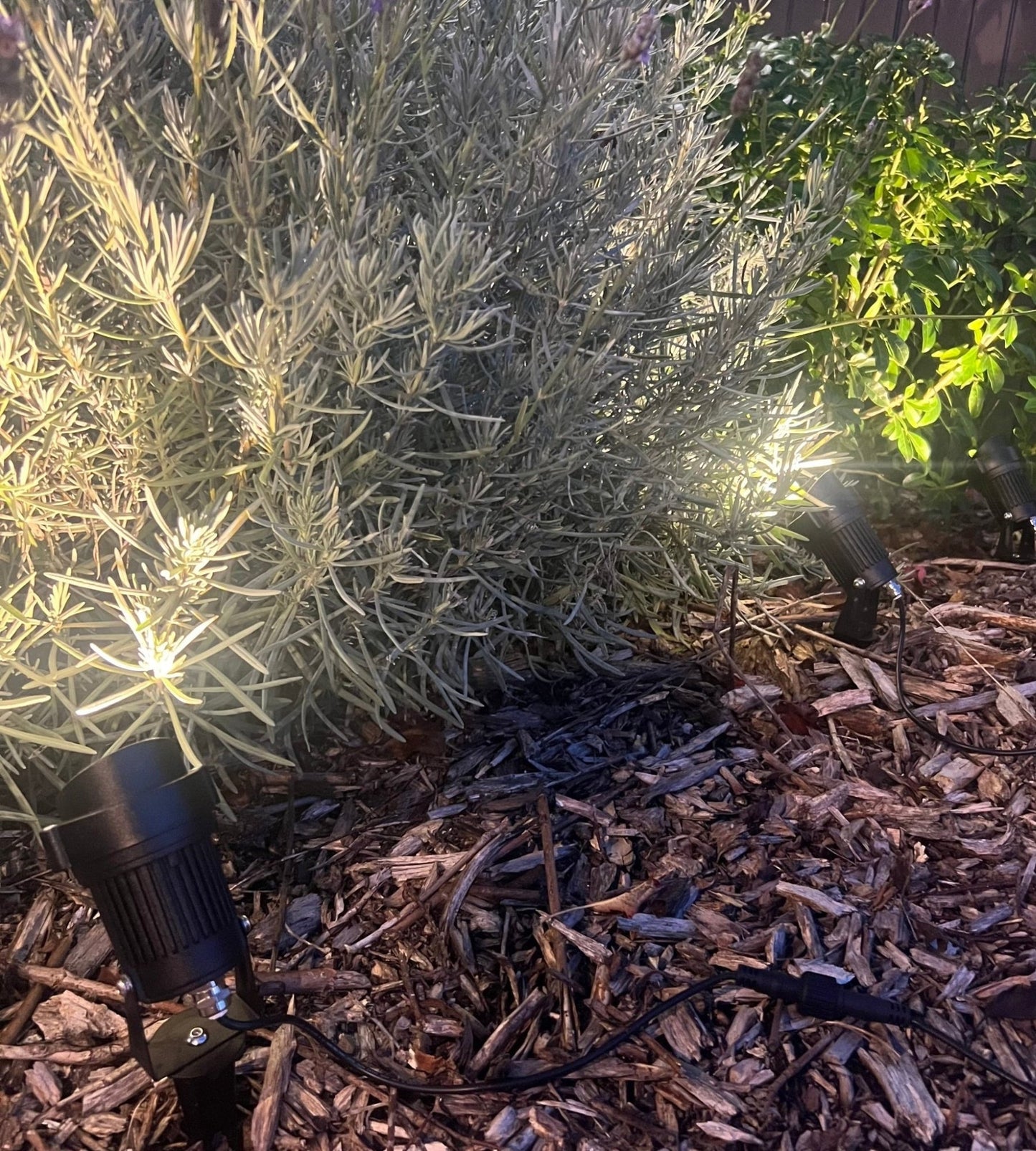 Solar Spotlights (3-Pack) – Bright Outdoor LED Landscape Lighting