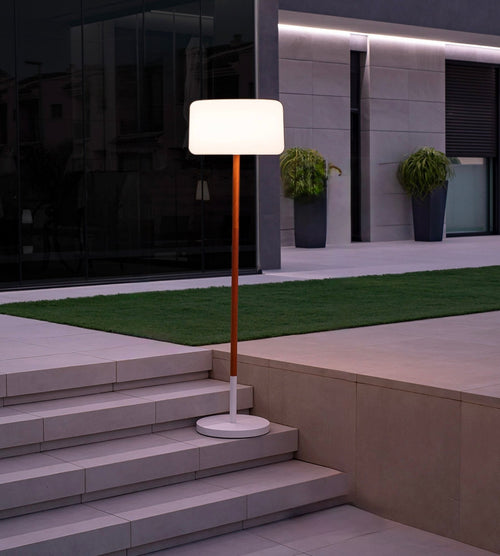 Solar & USB LED Plant Lamp – 5-in-1 Adjustable White/RGB Light – Wooden Stem