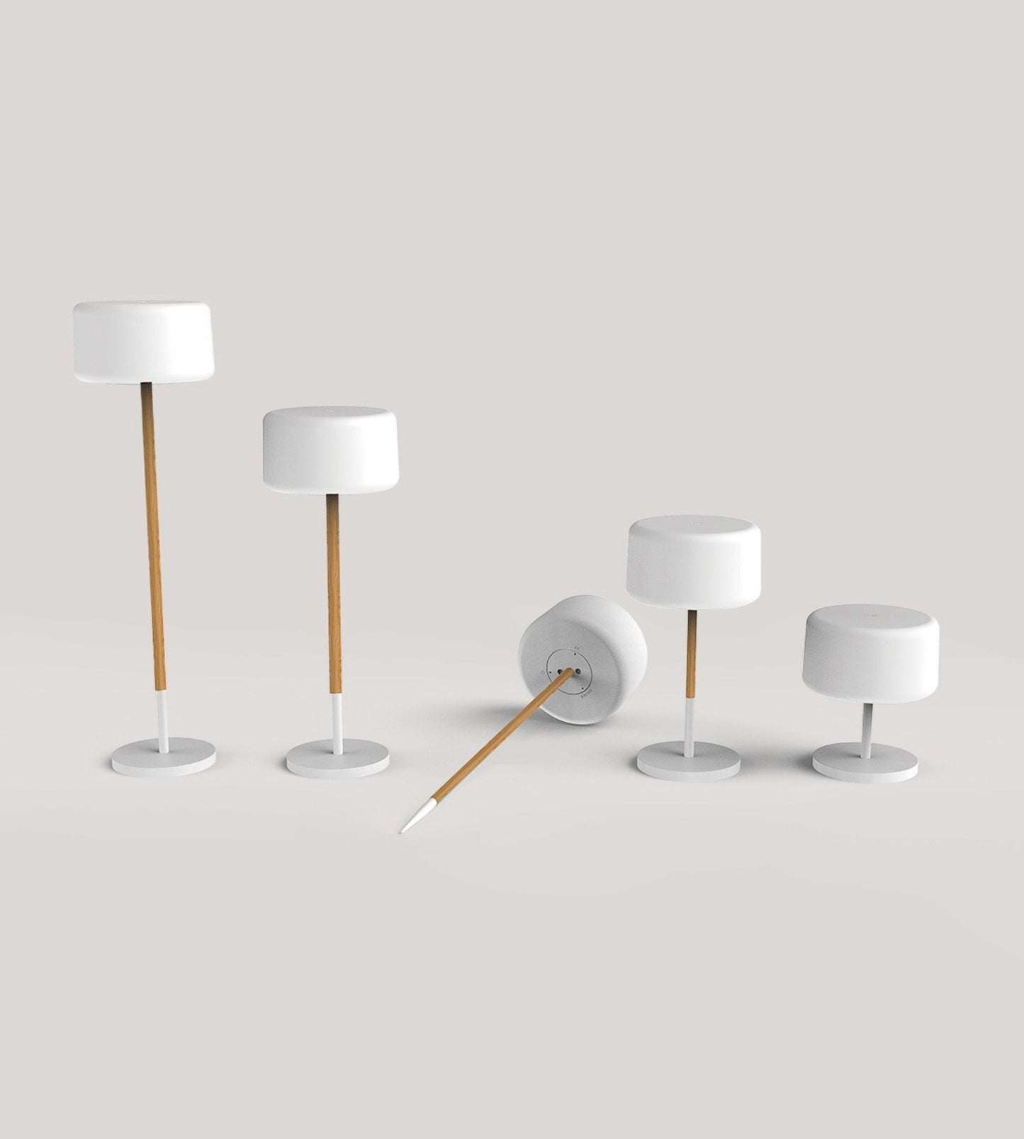 Solar & USB LED Plant Lamp – 5-in-1 Adjustable White/RGB Light – Wooden Stem