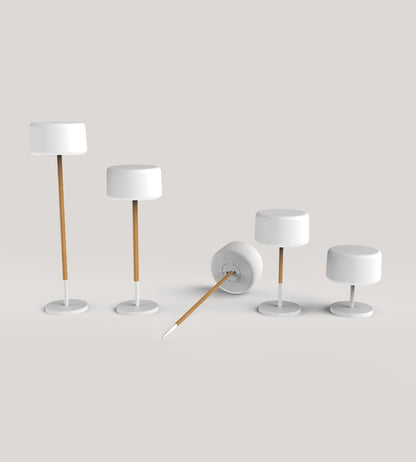 Solar & USB LED Plant Lamp – 5-in-1 Adjustable White/RGB Light – Wooden Stem