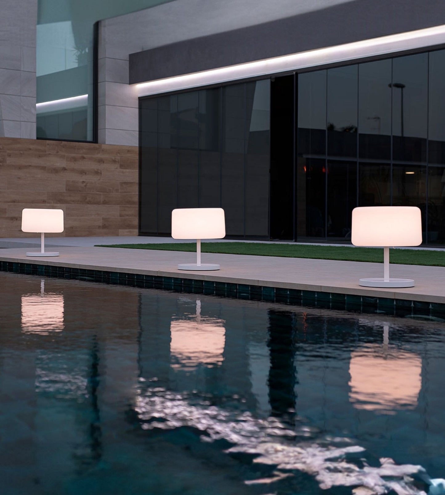 Solar & USB LED Plant Lamp – 5-in-1 Adjustable White/RGB Light – Wooden Stem