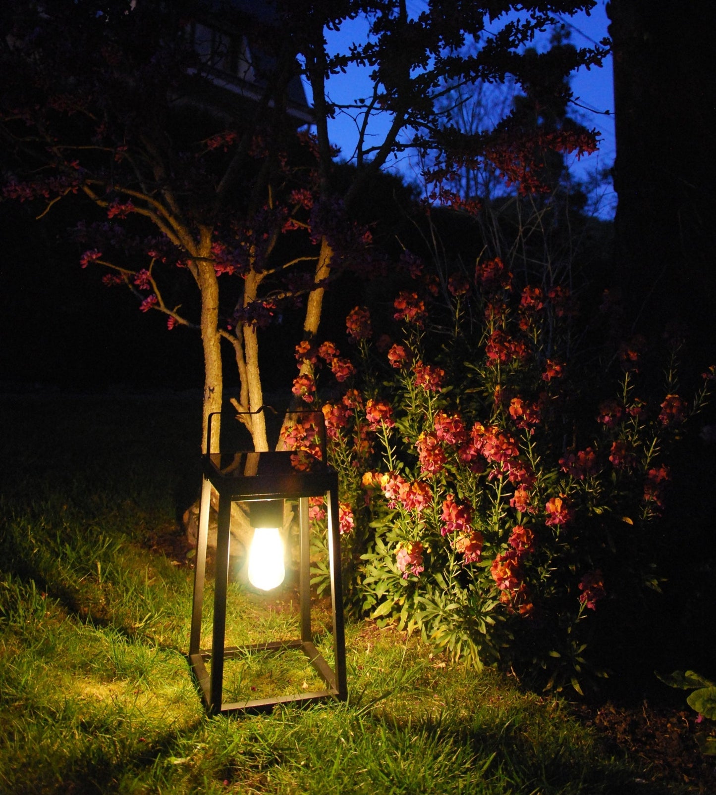 Solar LED Lantern – Warm Outdoor Decorative Fairy-Style Light
