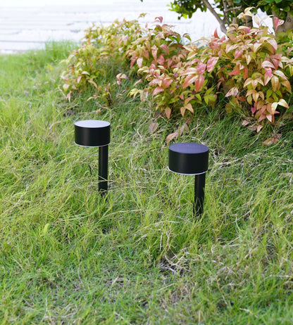Solar LED Beacons (2-Pack) – Plantable Outdoor Lights with 100 Lumens